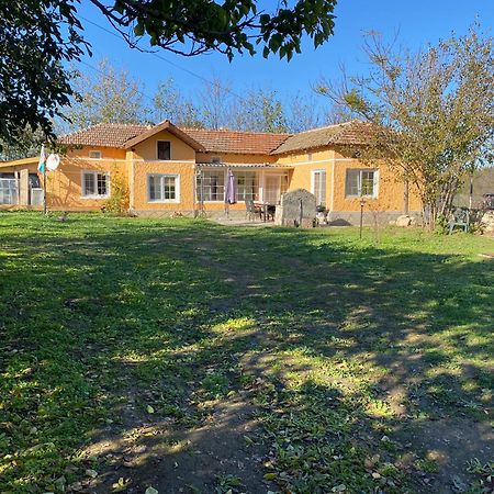 Ferienhaus Primorska Sunshine In Strandnaehe Sabla Kültér fotó