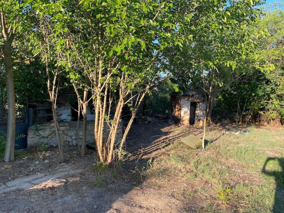 Ferienhaus Primorska Sunshine In Strandnaehe Sabla Kültér fotó