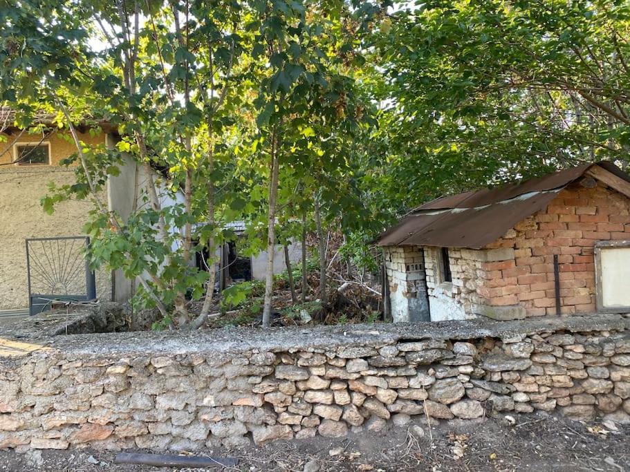 Ferienhaus Primorska Sunshine In Strandnaehe Sabla Kültér fotó