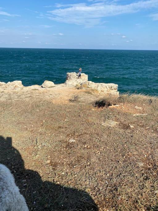 Ferienhaus Primorska Sunshine In Strandnaehe Sabla Kültér fotó