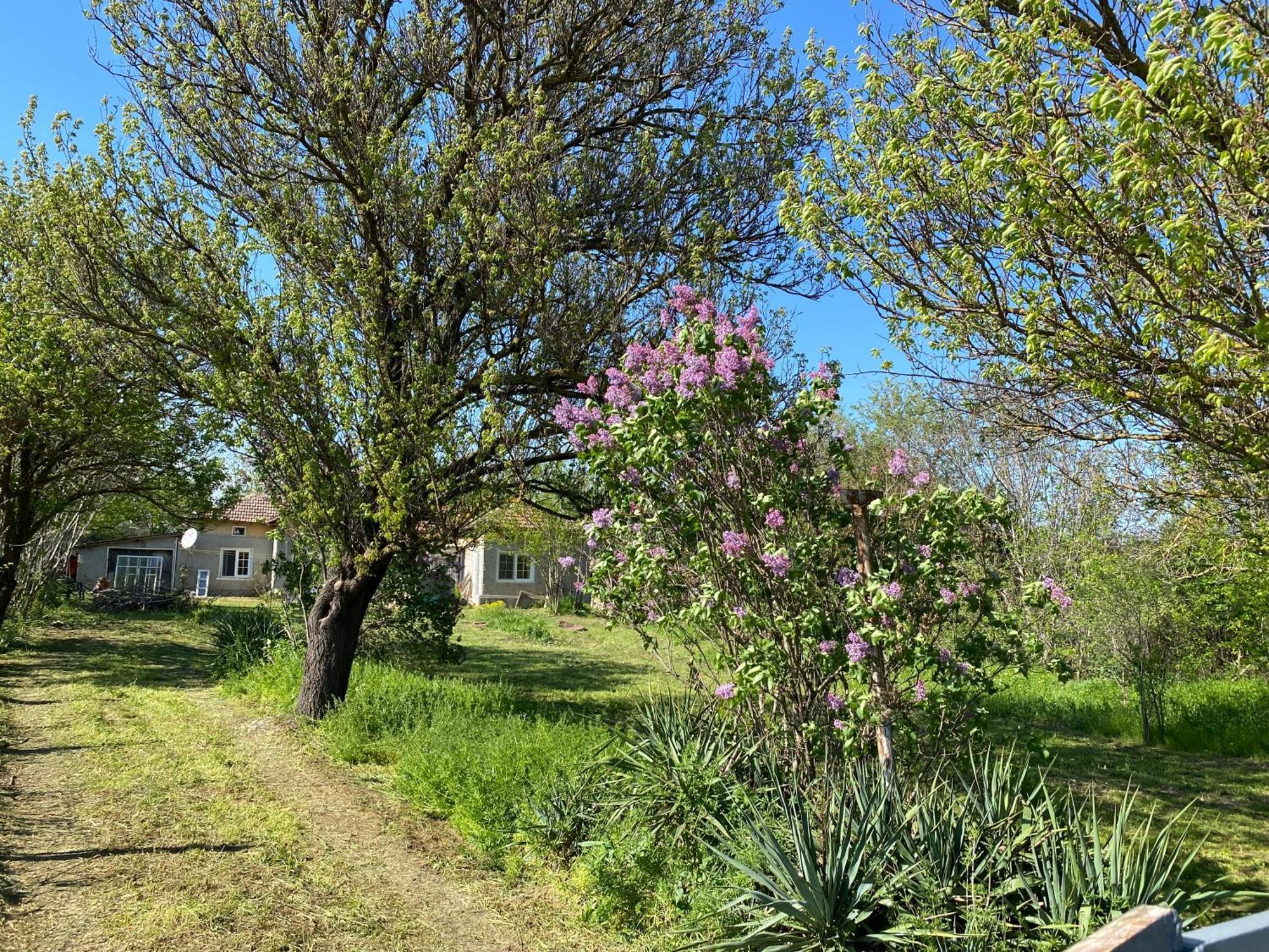 Ferienhaus Primorska Sunshine In Strandnaehe Sabla Kültér fotó