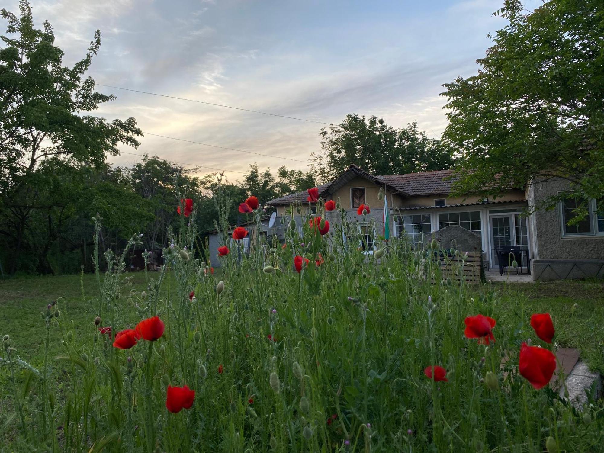 Ferienhaus Primorska Sunshine In Strandnaehe Sabla Kültér fotó